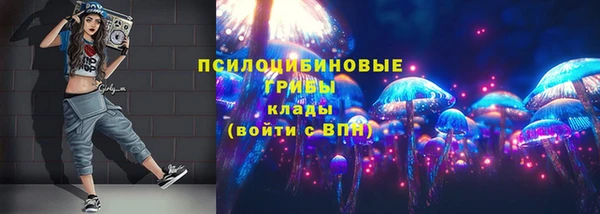 мет Аркадак