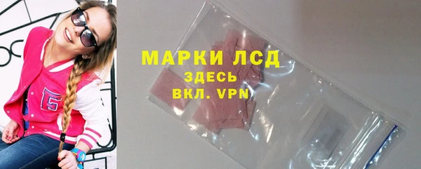 гидра Арсеньев