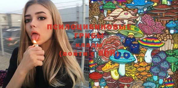 мет Аркадак