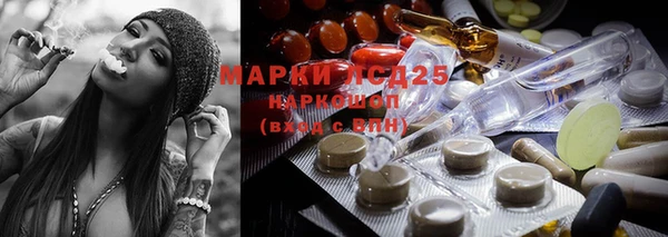 гидра Арсеньев