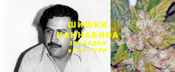 гидра Арсеньев