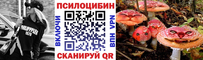 Купить где  Кумертау  Псилоцибиновые грибы Magic Shrooms 